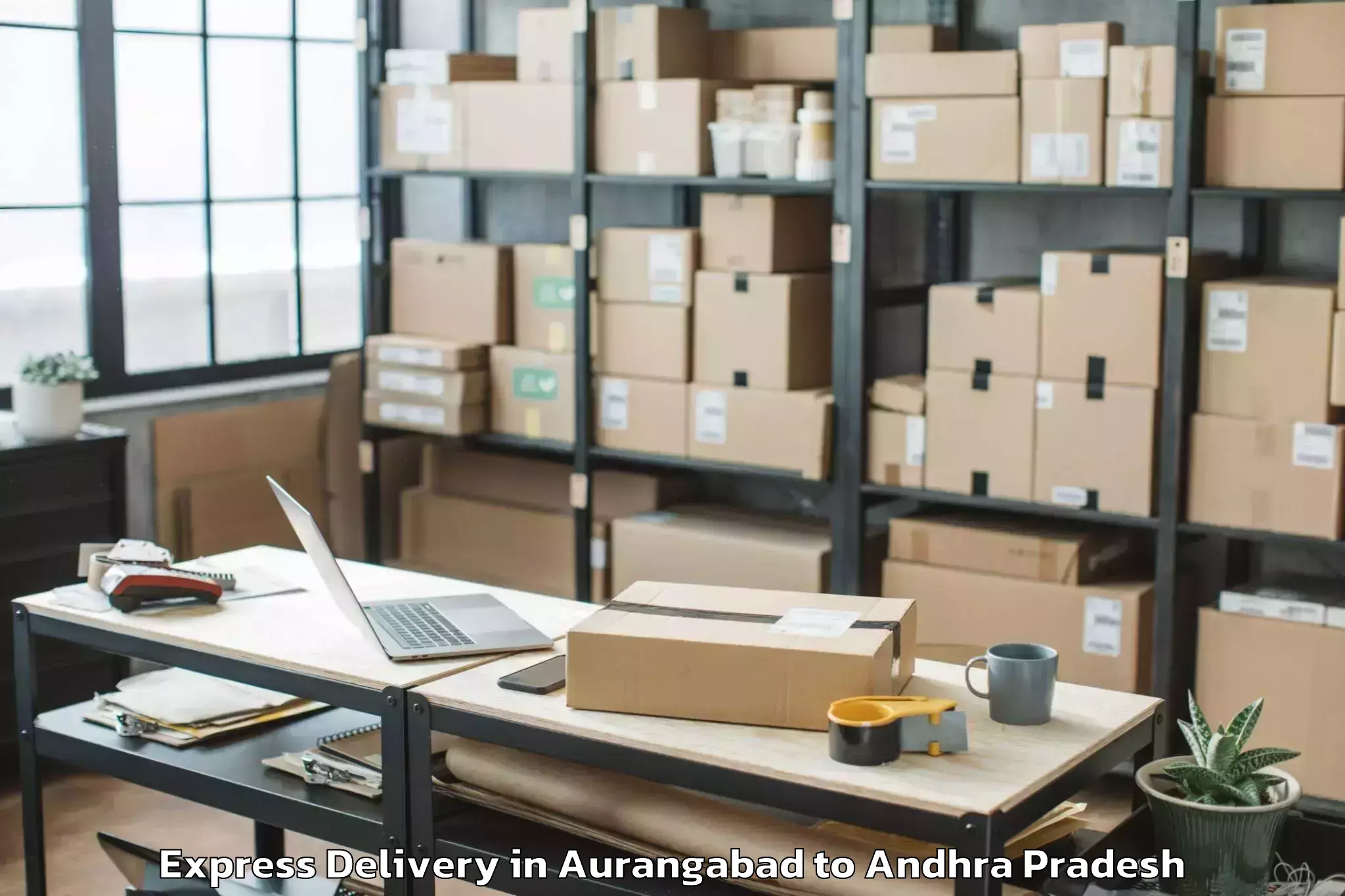 Professional Aurangabad to Nuzendla Express Delivery